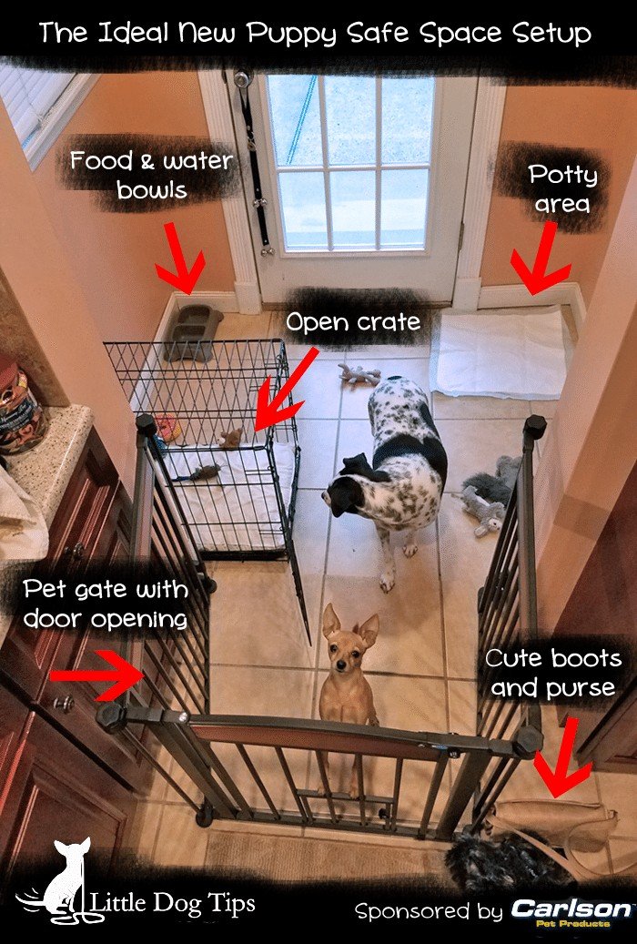 New Puppy Safe Space area with walk through pet gate