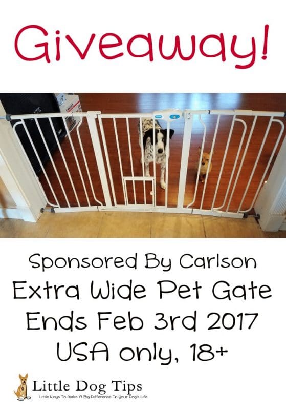#Giveaway #sponsored by Carlson pet products - USA only, 18+