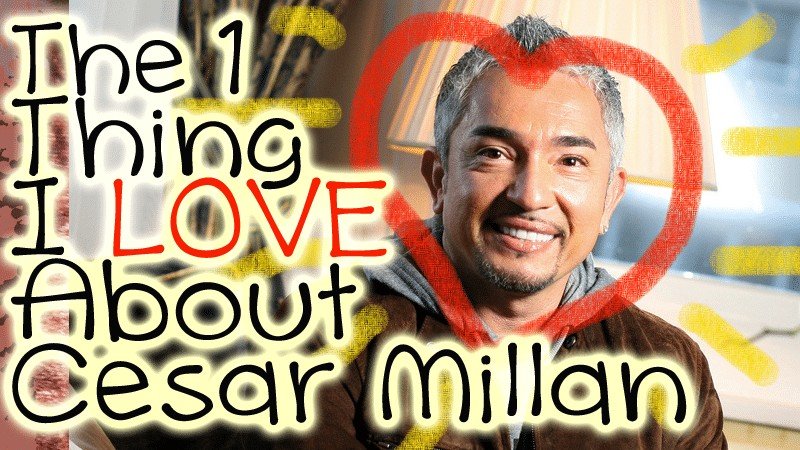 What I Love About Cesar Millan