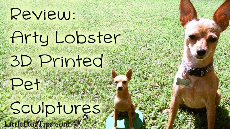 Arty Lobster 3D Printed Pet Sculptures review #sponsored