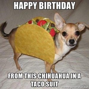 Happy birthday from this chihuahua in a taco suit