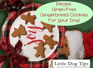 Grain Free Gingerbread Dog Cookies