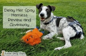 Delay Her Spay #Sponsored Review and Giveaway