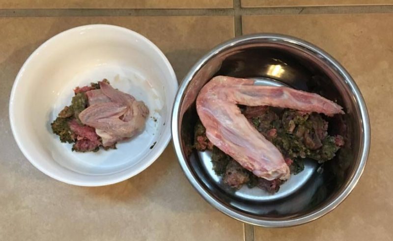 Homemade raw dog food meals for chihuahua and cattle dog lab mix