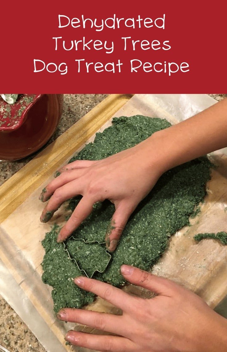 How To Make Dehydrated Turkey Tree Dog Treats #dogtreatrecipes #dehyrator