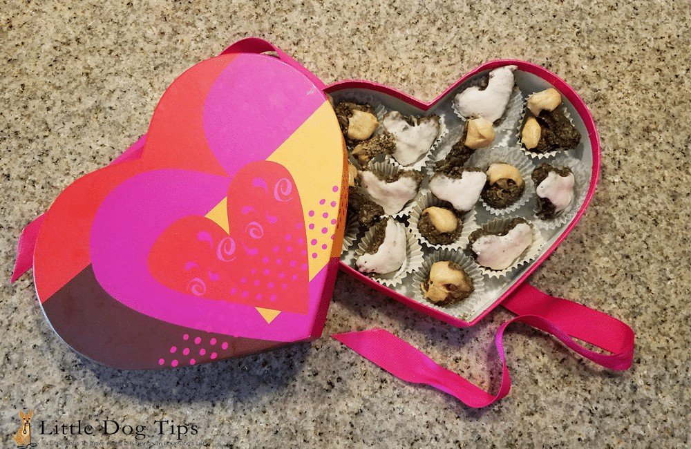 Homemade healthy dehydrated valentine's day truffles for your dog