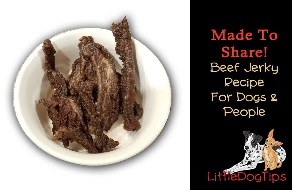 Made To Share: Beef Jerky Recipe For Dogs AND Humans