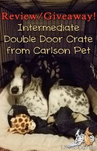 #Giveaway #Pets Carlson Pet Products - Intermediate Double Door Crate