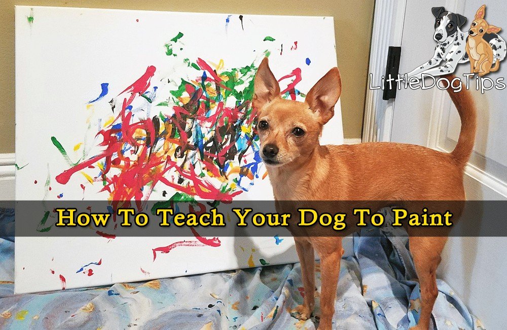 How To Teach Your Dog To Paint chihuahua in front of her artwork