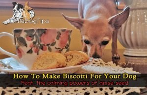 Calming Anise Seed Biscotti Treat Recipe For Dogs