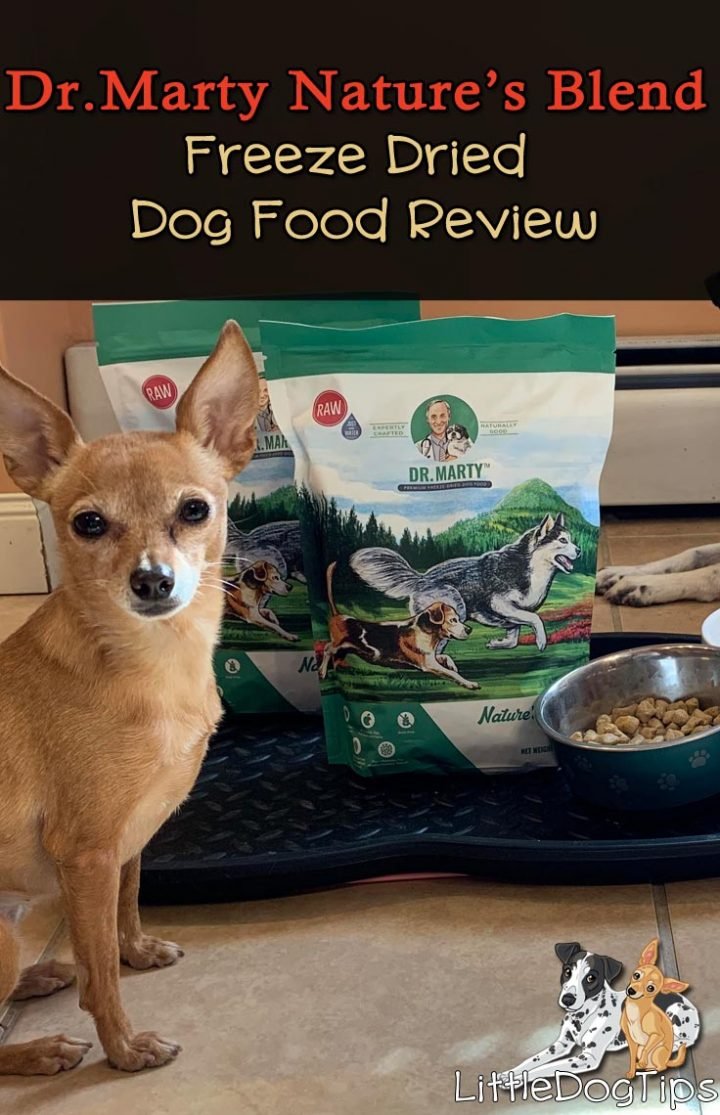 Dr. Marty Nature’s Blend Freeze Dried Food Review 🐾 Little Dog Tips