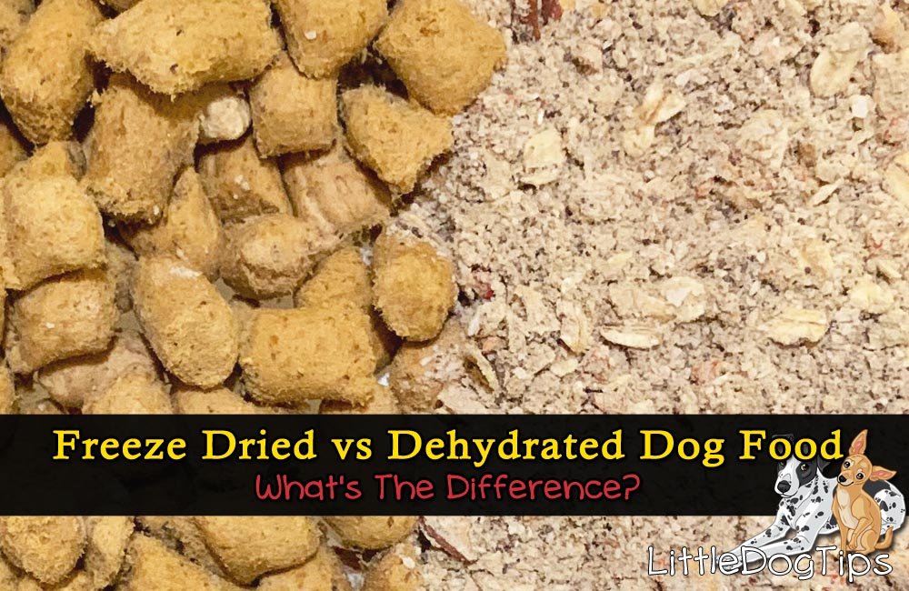Freeze dried raw vs dehydrated dog food - what's the difference?