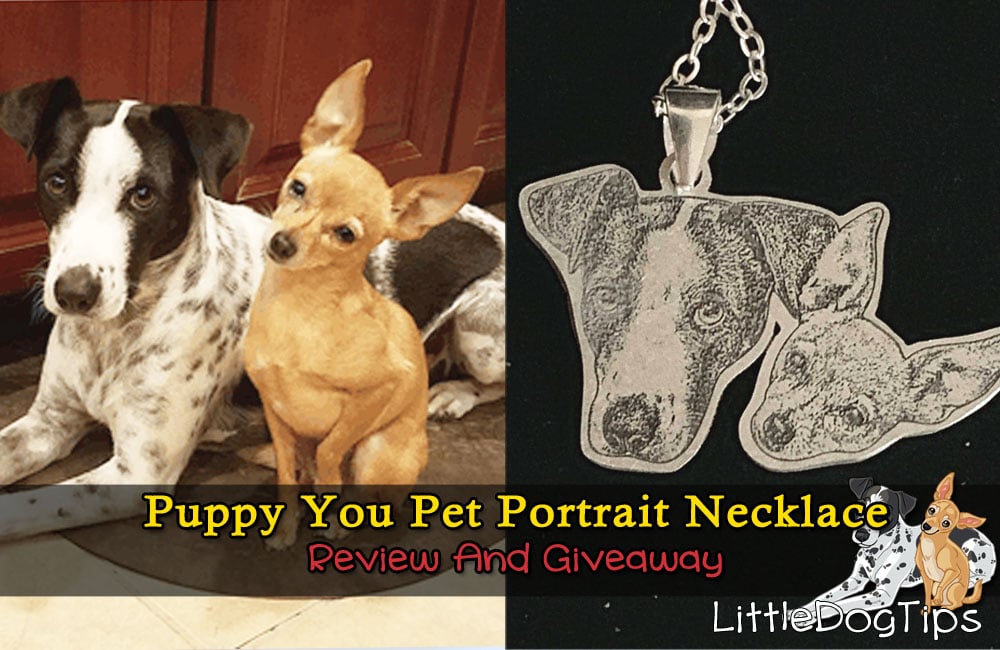 Get a custom pet portrait necklace from Puppy You!