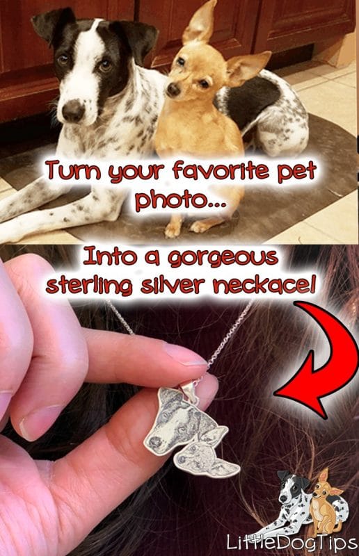 Pet Portrait Necklace by Puppy You! #customgifts #personalizedgifts #petlovergift #sterlingsilver #personalizedjewelry