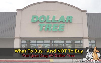 What I Always (And Never) Buy For My Dogs At Dollar Tree