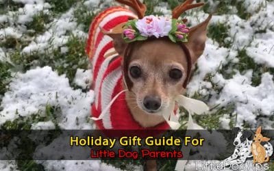 Holiday Gift Guide For Little Dog Parents