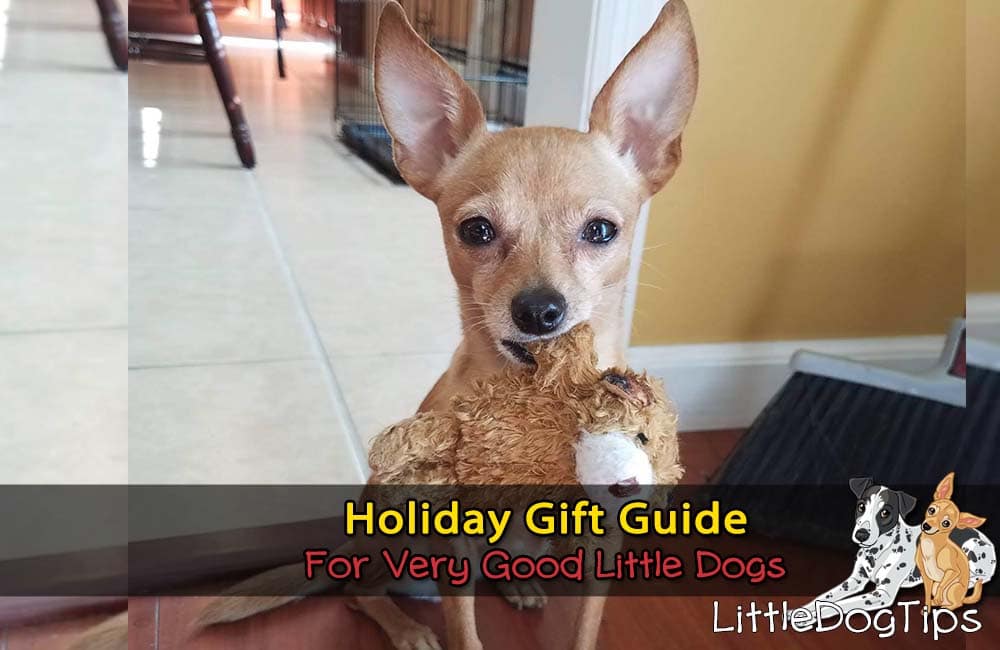 Holiday Gift Guide For Very Good Little Dogs