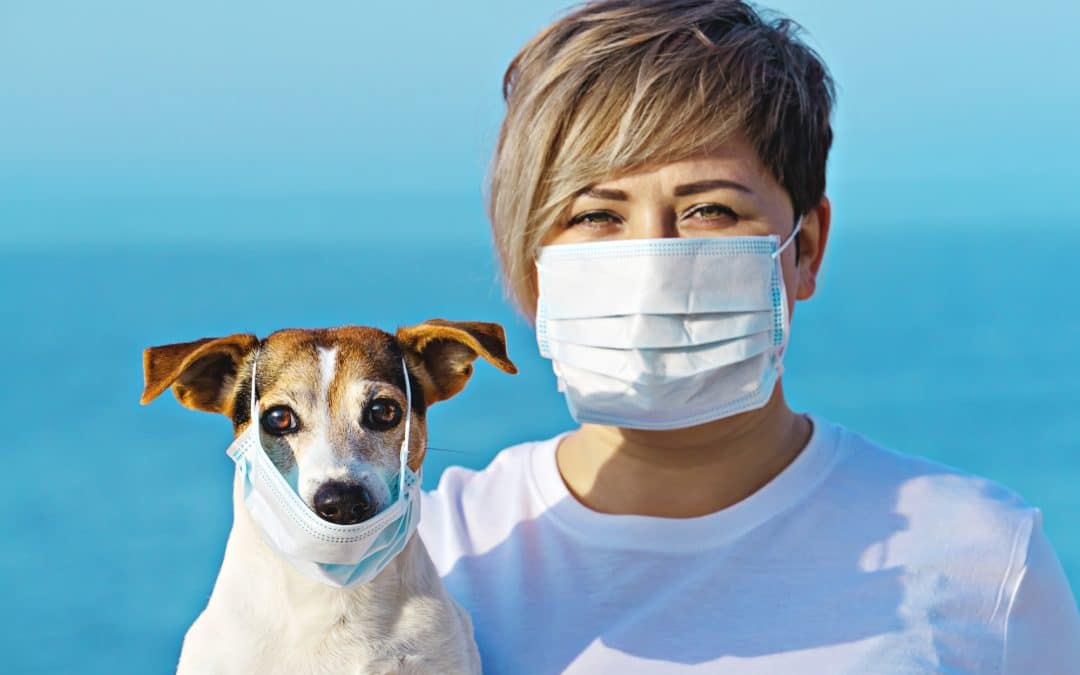 Can My Dog Transmit Coronavirus? What Dog Parents Should Know, And What NOT To Worry About