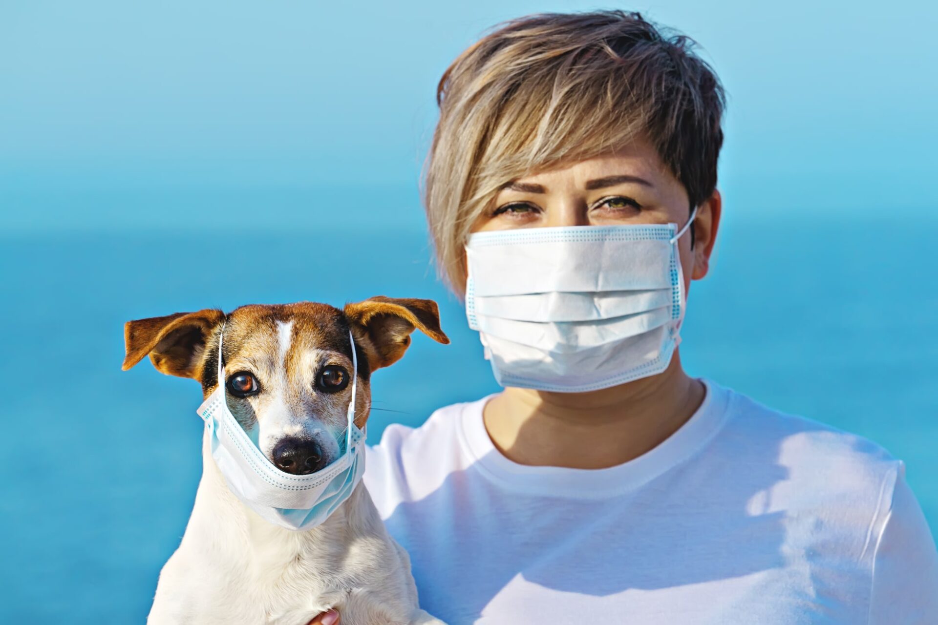 Can My Dog Transmit Coronavirus? What Dog Parents Should Know, And What NOT To Worry About