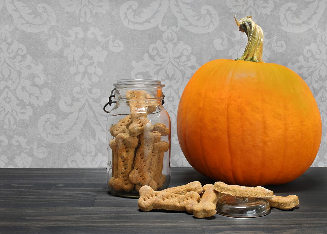 3 Ways To Use Up Leftover Canned Pumpkin For Dogs 🐾 Little Dog Tips
