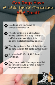 Theobromine has a half-life of 17.5 hours and is retained in body fat, so it is not immediately eliminated from your dog's body.