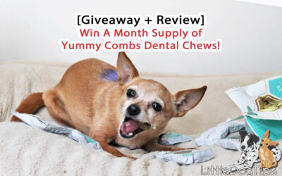 [Giveaway] Yummy Combs Dental Chews Review #ad