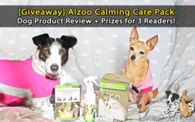 [Giveaway] Alzoo Dog Calming Spray, Collar & Plugin Pet Product Review
