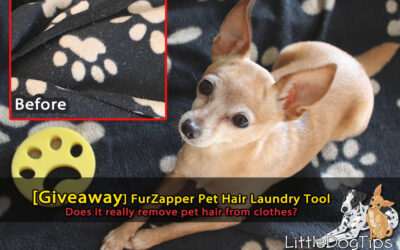 [Giveaway] Does FurZapper Really Remove Pet Hair From Laundry?
