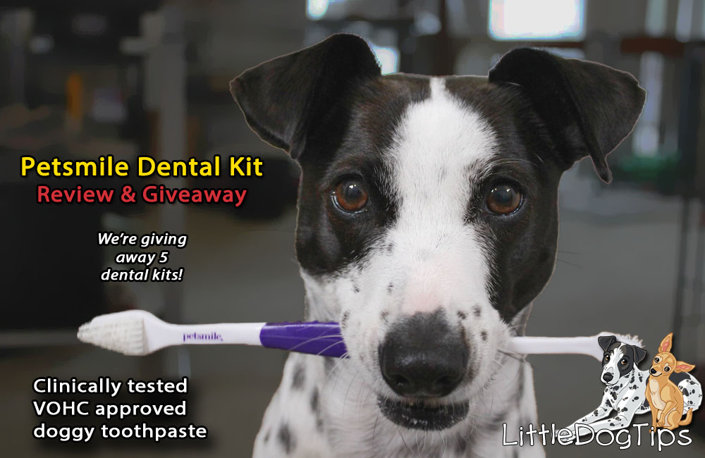 Petsmile Review and Giveaway – The Clinically Proven Toothpaste We’ve Been Waiting For!