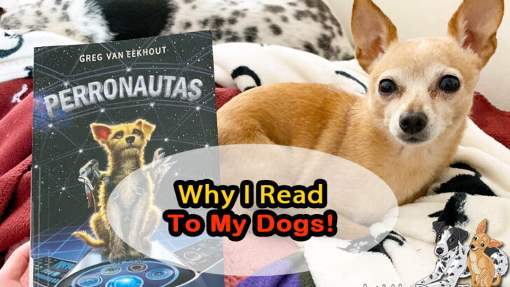 Why I Read To My Dogs - Matilda the tan chihuahua mix helps me read Perronautas by Greg van Eekhout